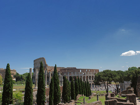 Kolosseum mit dem Forum Romanum