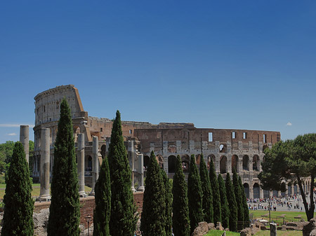 Fotos Kolosseum mit dem Forum Romanum