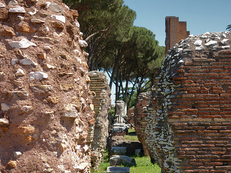 Foto Ruinen am Apollo Tempel