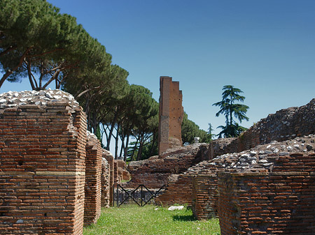 Ruinen am Apollo Tempel Fotos