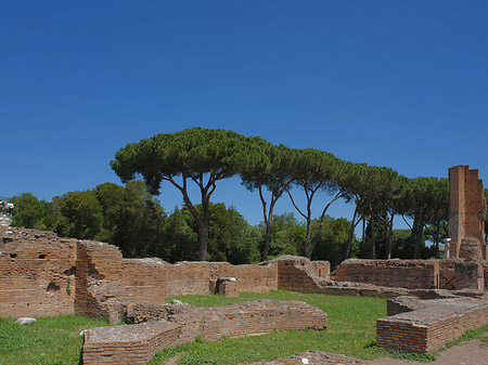 Fotos Ruinen am Apollo Tempel