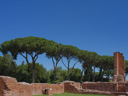 Fotos Ruinen am Apollo Tempel | Rom