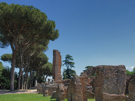 Fotos Ruinen am Apollo Tempel | Rom