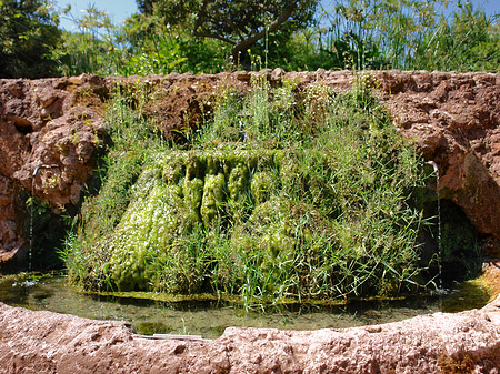 Fotos Brunnen am Palatin | Rom