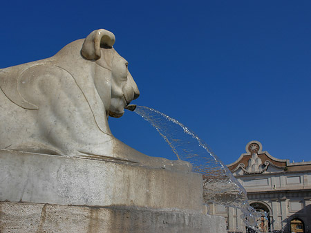 Fotos Löwenbrunnen