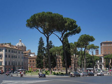 Verkehr an der Piazza Venezia