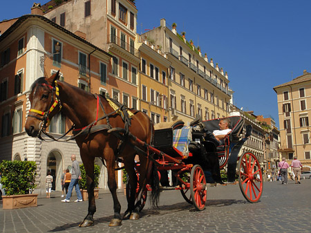 Foto Pferdekutsche auf der Piazza die Spagna