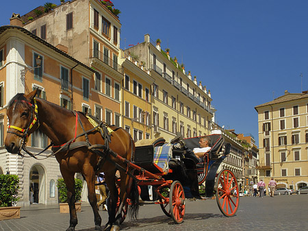 Foto Pferdekutsche auf der Piazza die Spagna - Rom