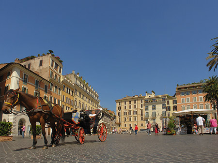 Fotos Pferdekutsche auf der Piazza die Spagna | Rom