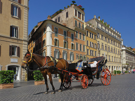 Fotos Pferdekutsche auf der Piazza die Spagna