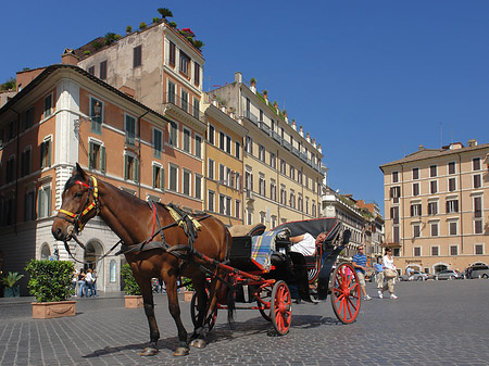 Pferdekutsche auf der Piazza die Spagna Fotos