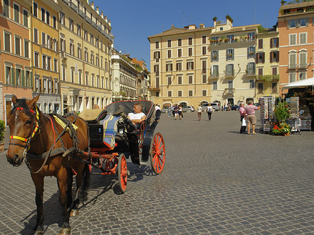 Fotos Pferdekutsche auf der Piazza die Spagna | Rom