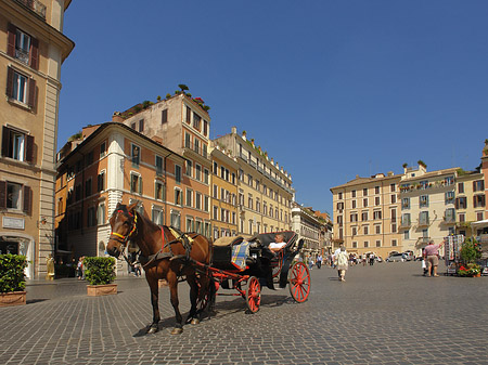 Foto Pferdekutsche auf der Piazza die Spagna